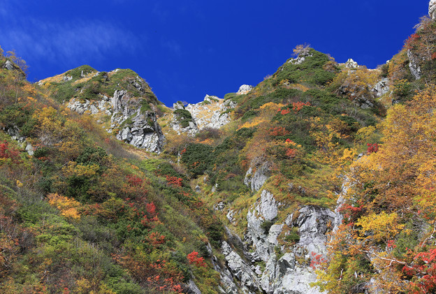 写真: 立山の彩り