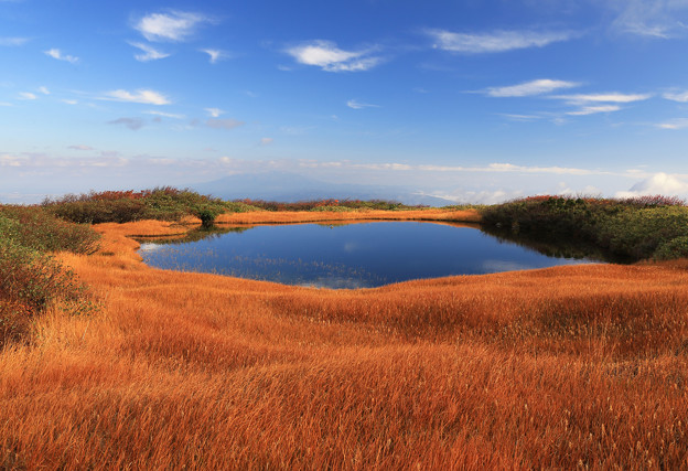 写真: 天空の草紅葉と池塘