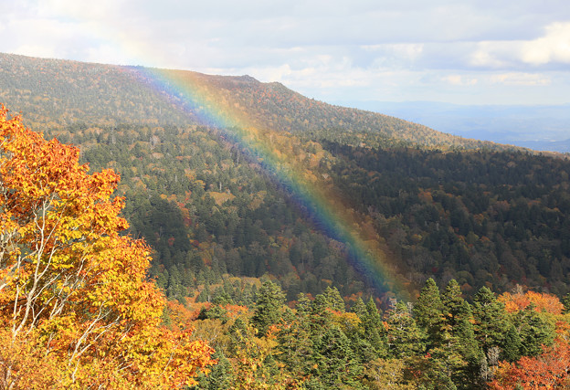 写真: 紅葉と虹と・八幡平