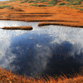 写真: 月山の池塘
