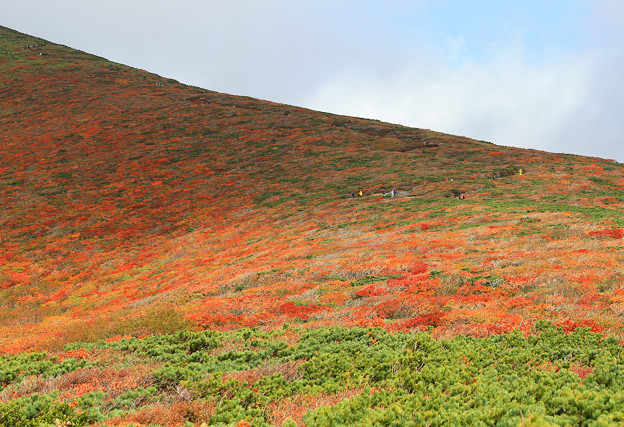 写真: 紅葉狩りの登山者