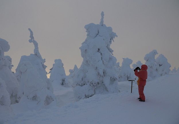 写真: 樹氷を撮る