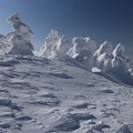 写真: 風雪の造形