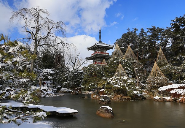 写真: 日本庭園の美