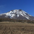 写真: 津軽富士の春