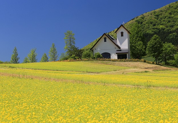 写真: 菜の花丘の教会