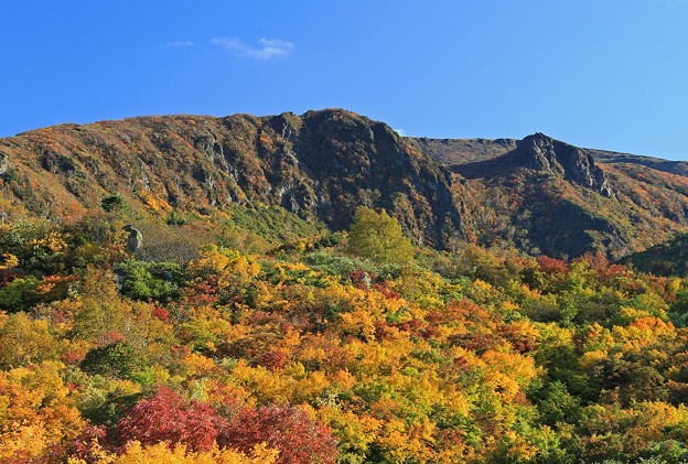 写真: 秋化粧した栗駒山