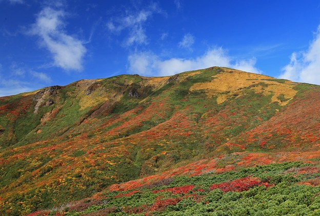 写真: 彩る栗駒山の絶景