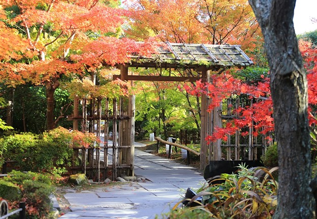 写真: 門を潜れば彩り庭園