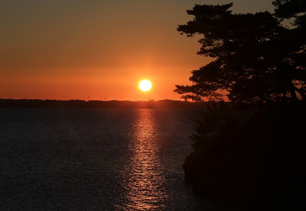 写真: 松島の日の出
