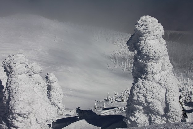 写真: 樹氷の夢景観