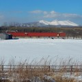 真冬の牧場