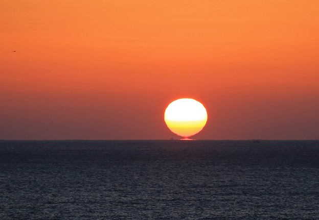 写真: 三陸の海に陽が昇る
