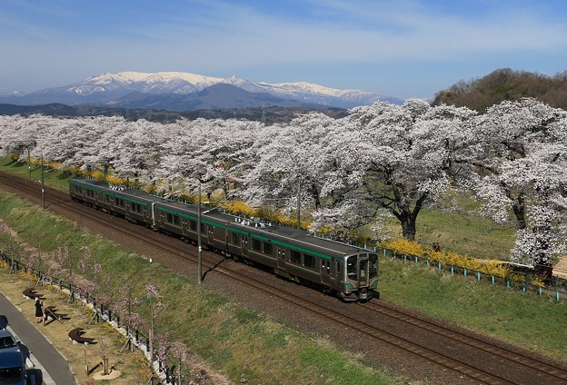 写真: 桜咲く東北本線