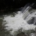 写真: 轟く滑津大滝