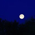 写真: 夜明けの満月
