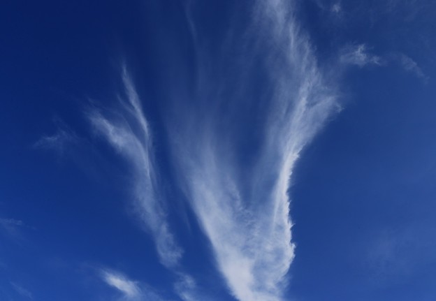 写真: 猛暑の雲