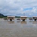 写真: 由布島の水牛車