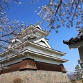 写真: 桜咲く上山城