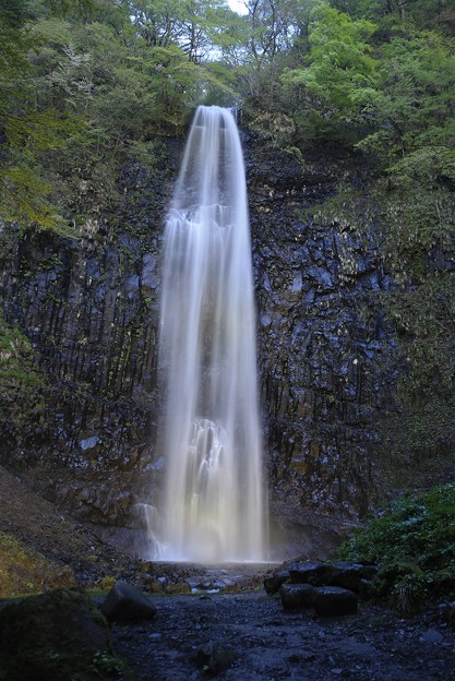 Photos: 幽玄な玉簾の滝