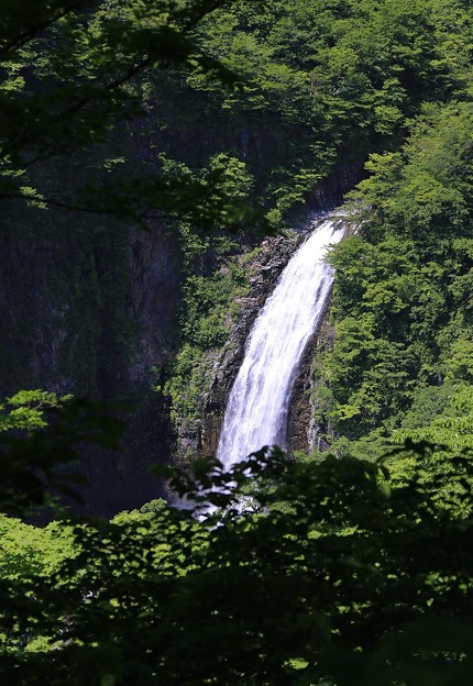 写真: 深山の蔵王不動滝