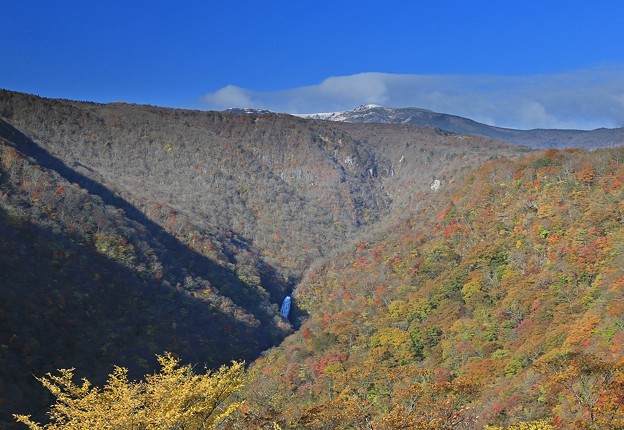 写真: 紅葉と雪と滝の壮観