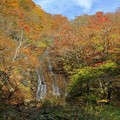 写真: 谷間に流れる白糸滝