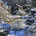 Photos: 雪の庭園