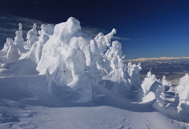 写真: 蔵王樹氷と朝日連峰