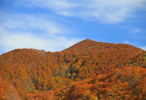 写真: 全山紅葉の二口峠