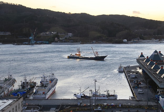 写真: 大型漁船の入港