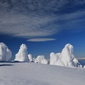 Photos: 樹氷の美観