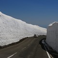 蔵王の雪の回廊