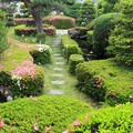 Photos: サツキ咲く庭池