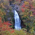 紅葉の秋保大滝