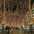 Photos: 彩る仙台の冬