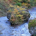 写真: 名取川源流域の流れ
