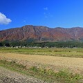 Photos: 禿岳の秋