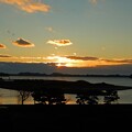 写真: 松島の夜明け