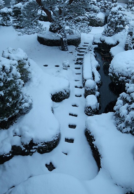 雪降る朝の庭池
