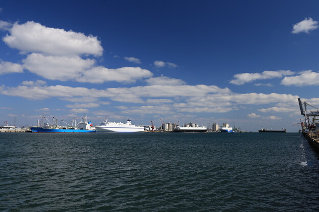 写真: 仙台の港は大きいな