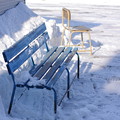 写真: 凍てつくベンチ