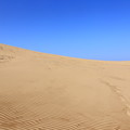 写真: 砂の丘