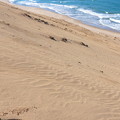 写真: 砂の波と水の波