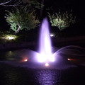 夜の噴水。