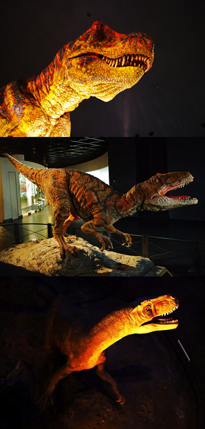 写真: 福井県立恐竜博物館-3