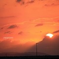 写真: 夕陽にKiss／1
