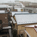写真: 初雪〜実況＾＾