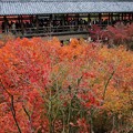 写真: 東福寺・方丈庭園09