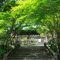 写真: 鍬山神社32